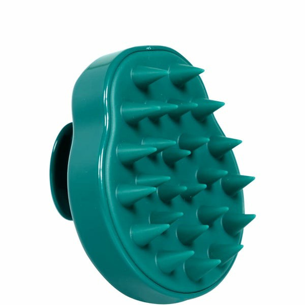 Hair Shampoo Brush  |  Hair Brushes & Combs Hair Brushes & Combs Hair Brushes & Combs